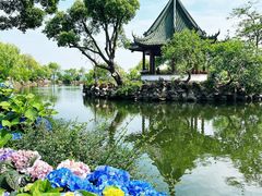 -无锡蠡湖国家湿地公园-蠡园