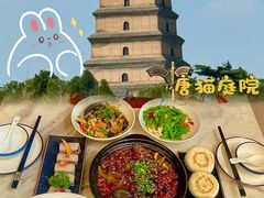 -唐猫庭院·千年陕菜(大唐不夜城店)