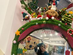 -有喵·猫咖·狗咖·30几只猫10只小狗(岗厦店)