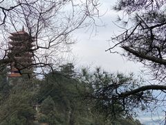 -缙云山景区