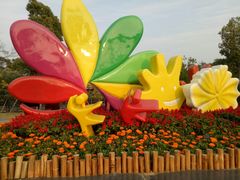 -金鸡山公园