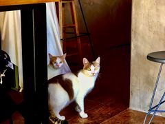 两位老板-251#coffee roasters(沿河东路店)