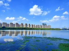 -长白岛森林公园