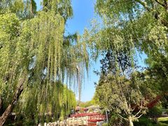 -唐城墙遗址公园