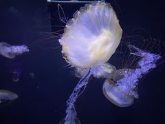 -成都浩海立方海洋公园