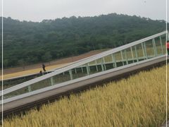 -艾米稻香小镇