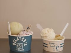 -海比甜店·意式手工冰激淋happy habit gelato