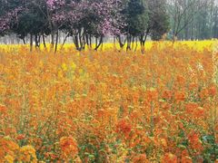 -中国天府农业博览园