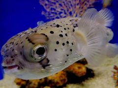 -长春中泰海洋世界