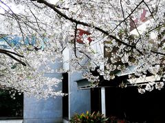 -玛格萝妮比萨屋(四平店)