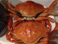 -星伦多自助料理(花山金鹰店)