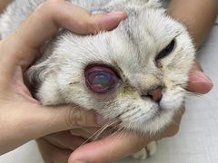 -拜鲁耶动物诊疗中心·宠家动物医院