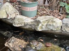 -谷咖啡·鲜花绿植花园餐厅