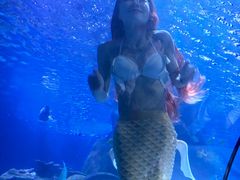 -太平洋海底世界