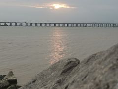 -宝安西湾红树林湿地公园