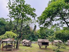 -上海野生动物园