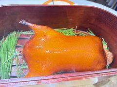 -鹿园 MOOSE(长宁店)