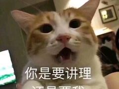 -牛品福潮汕牛肉火锅(旺庄店)