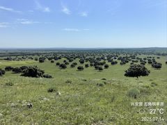 -五角枫生态旅游景区