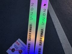 -荷兰花海