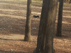 -海胆小馆(东北水饺·春柳店)