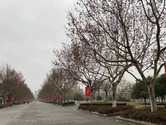 -东华大学(松江校区)