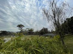 -四海公园(南山区)