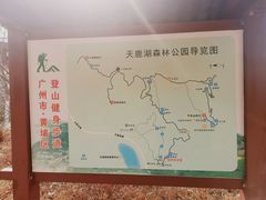 -天鹿湖森林公园