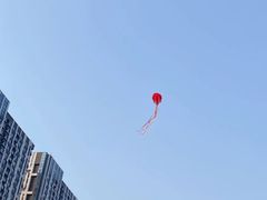 -老虎小串(体育馆路店)