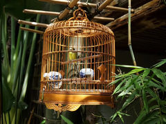 -The Flowers Coffee(南山店)
