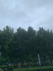 -HEYAN长风荷妍专业脱毛美肤
