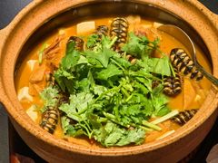 -肉欢 · 两头乌鲜肉涮锅(中山南路店)