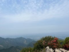 -秦岭终南山世界地质公园翠华山景区