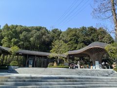 -东明山森林公园