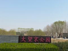 -大望京公园