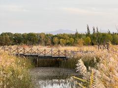 -野鸭湖国家湿地公园
