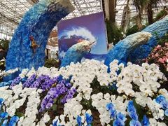 -沈阳植物园