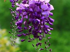 -北京市西城区德胜社区卫生服务中心