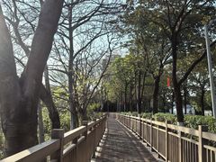 -广东花都湖国家湿地公园