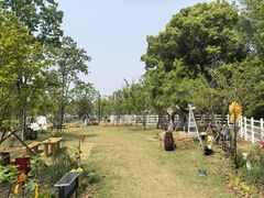 -金鸡湖桃花岛
