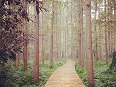 iphone_upload_pic-上海怡沁园度假酒店