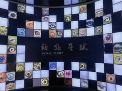 -重庆自然博物馆(新馆)