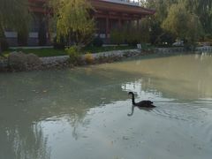 -兴芮温泉度假区