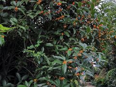 -杭州半山国家森林公园