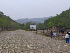-大青山野生动物园