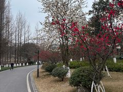 -沐仙湖湿地公园