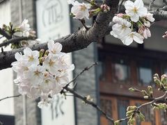 -平安桥天主教堂