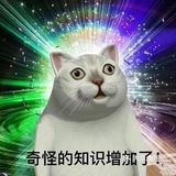 接到电话，一路小跑，电梯里满员都没等下一辆