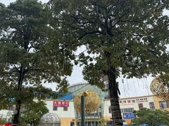 -优托邦(长兴路店)