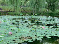 -永定河休闲森林公园